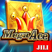 Mega Ace playtime gaming slot