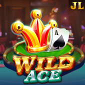 Wild Ace playtime gaming game